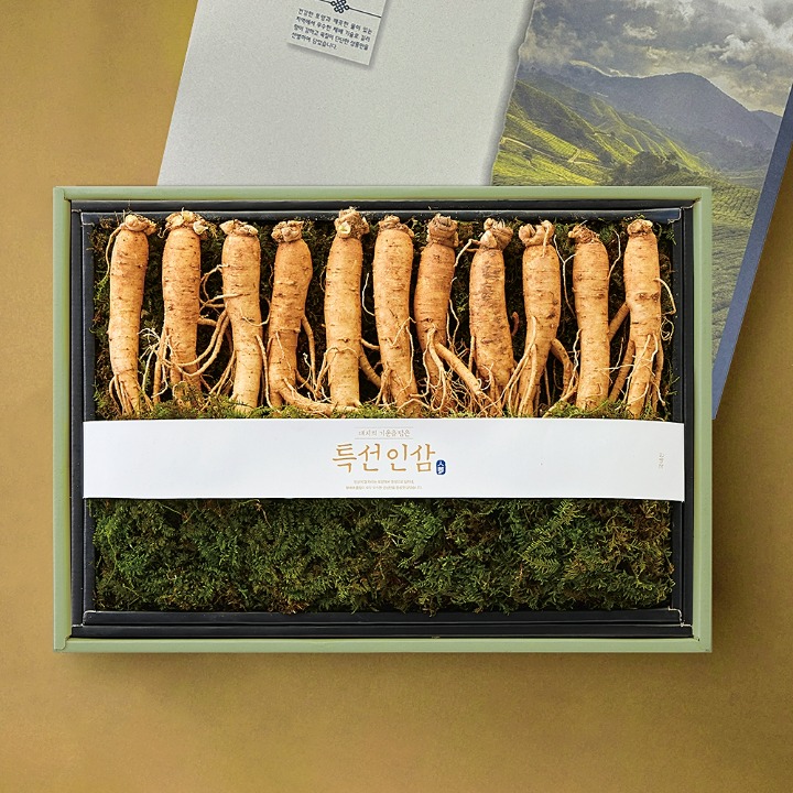 (S) 특선 인삼세트
