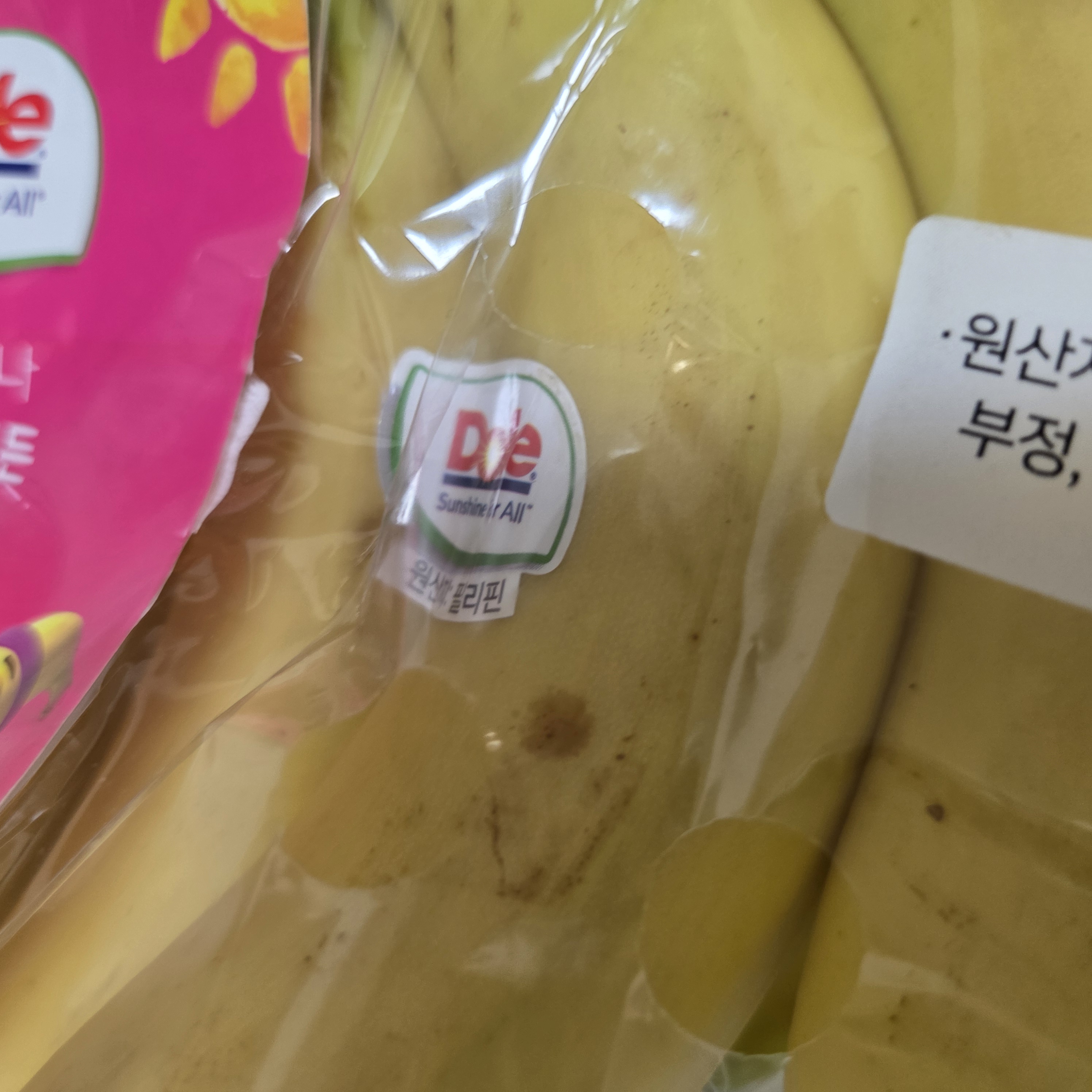 설명