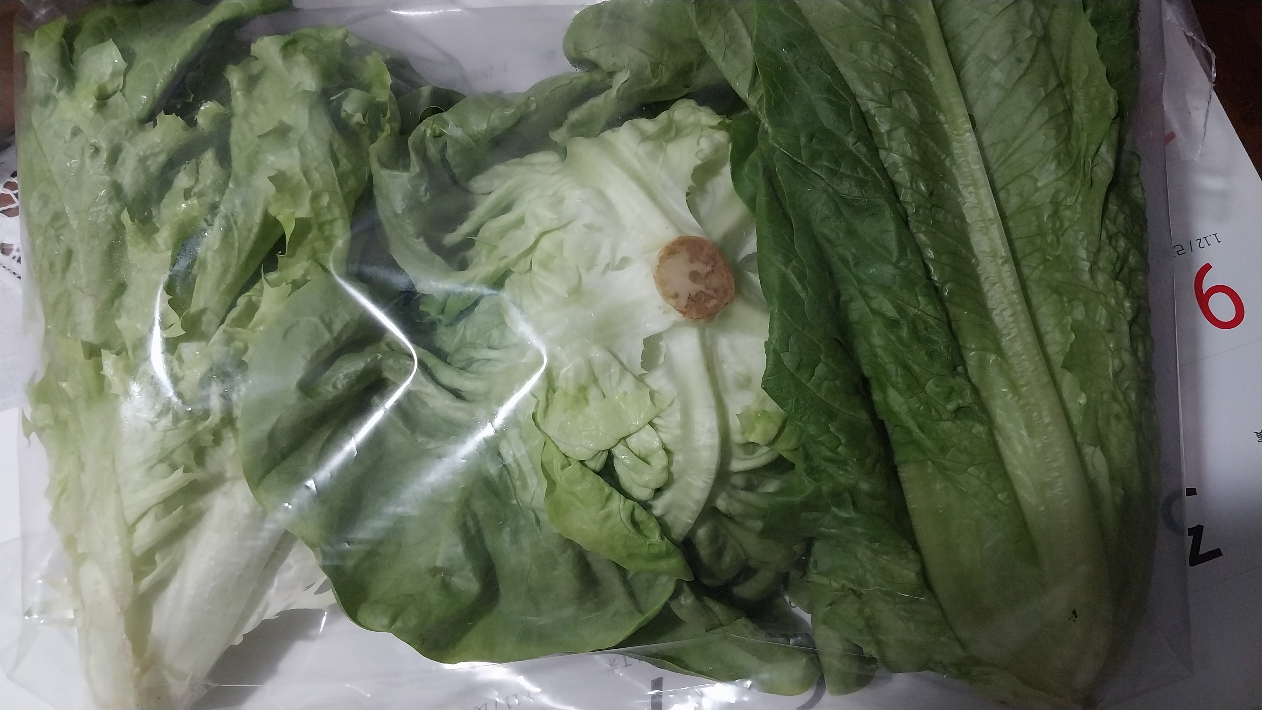 설명