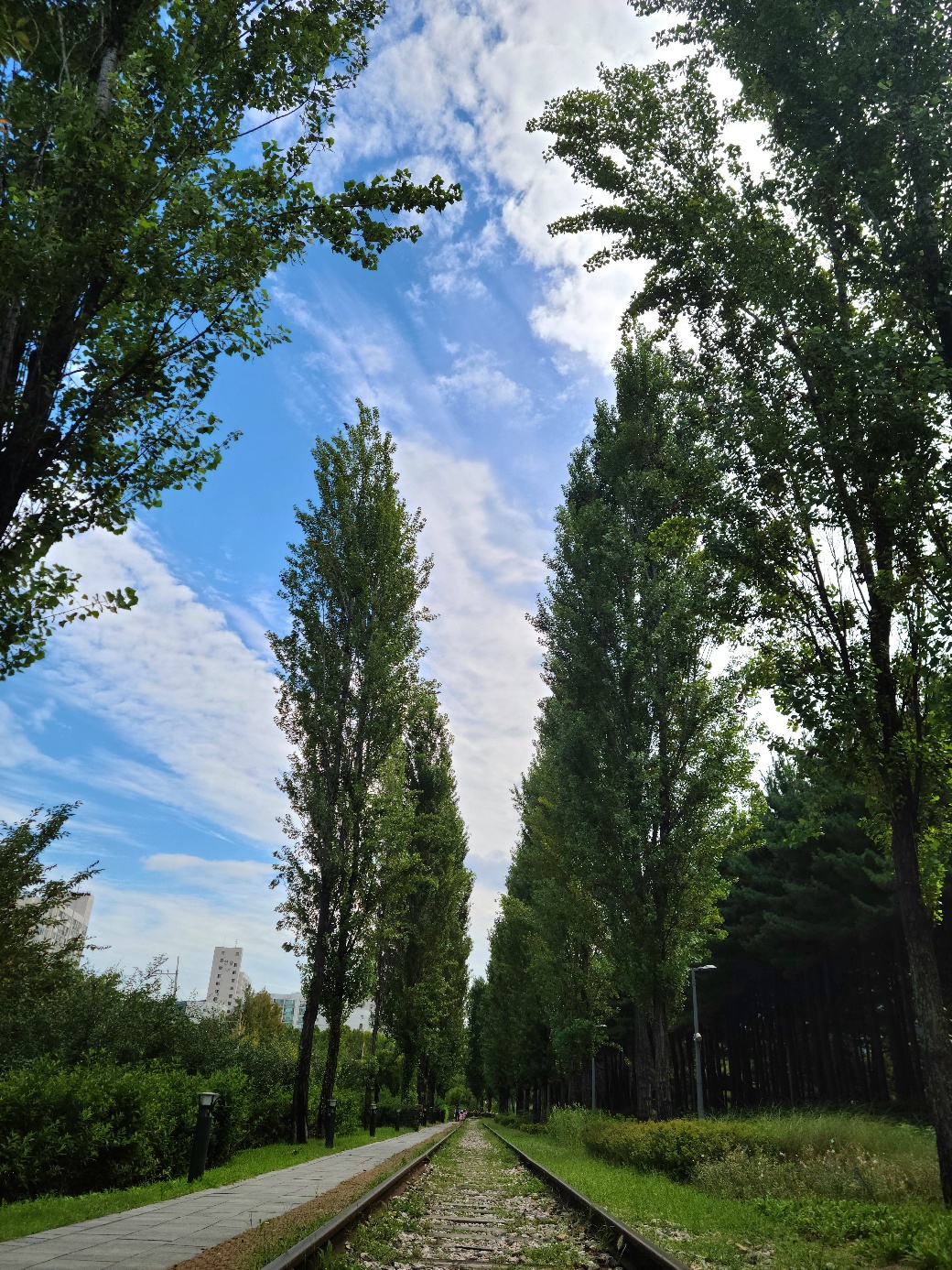 설명