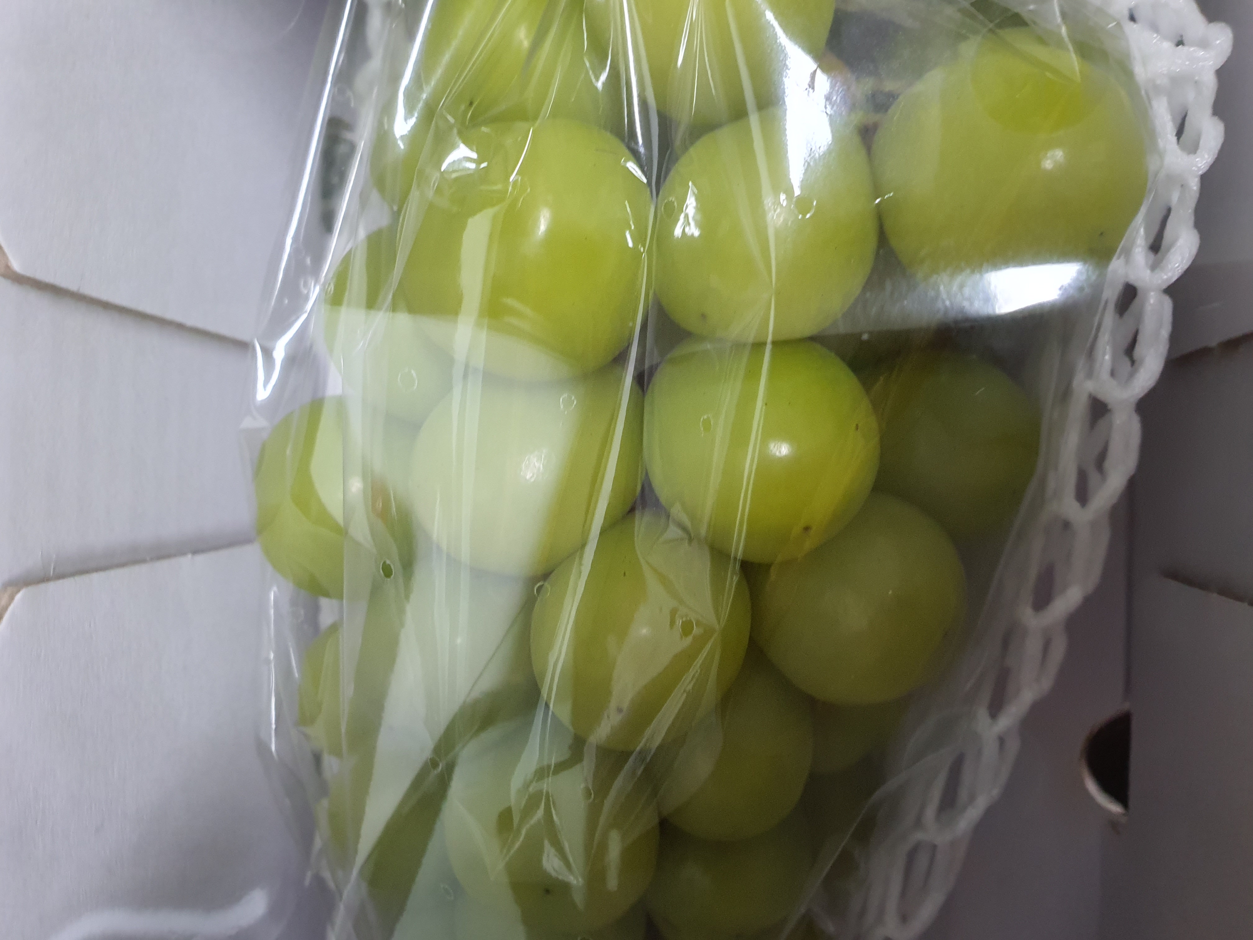 설명