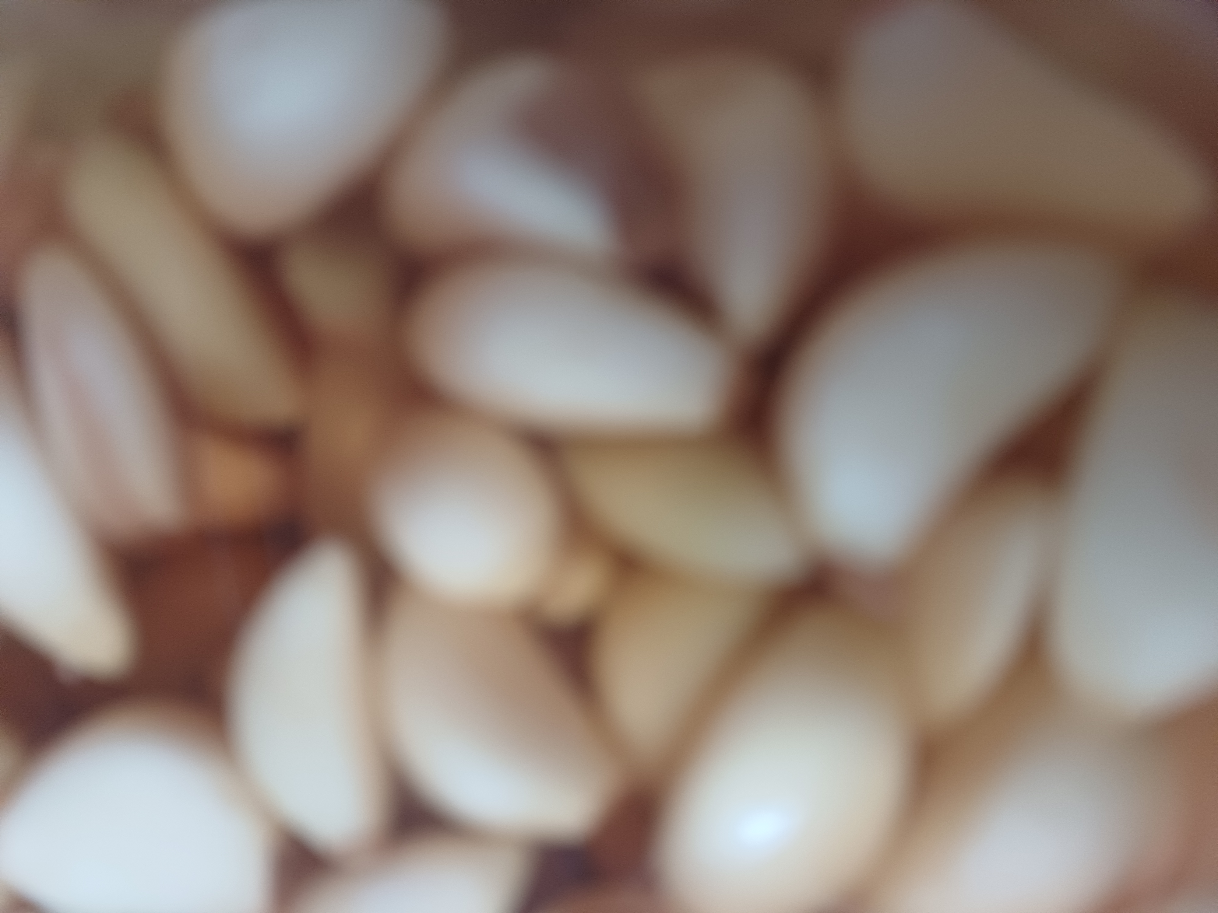 설명