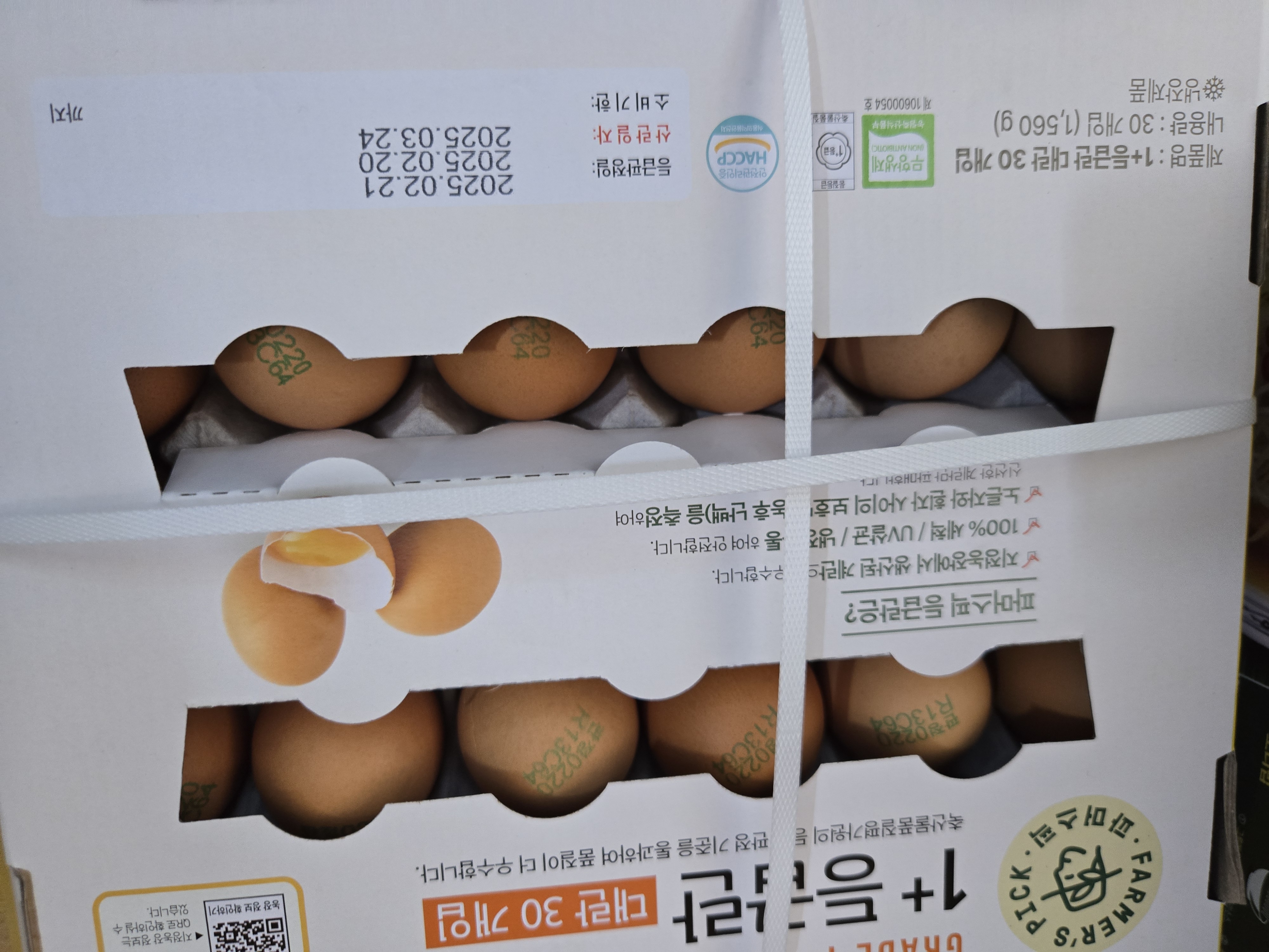 설명