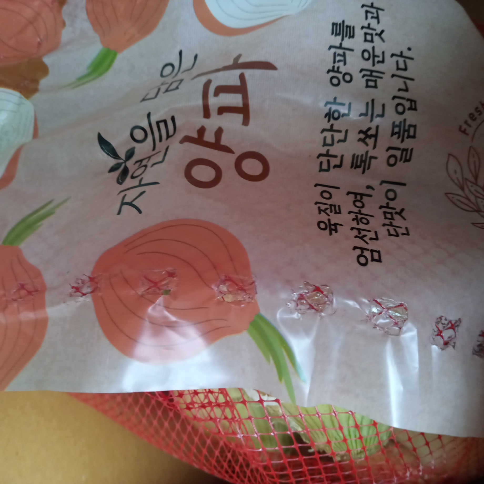 설명