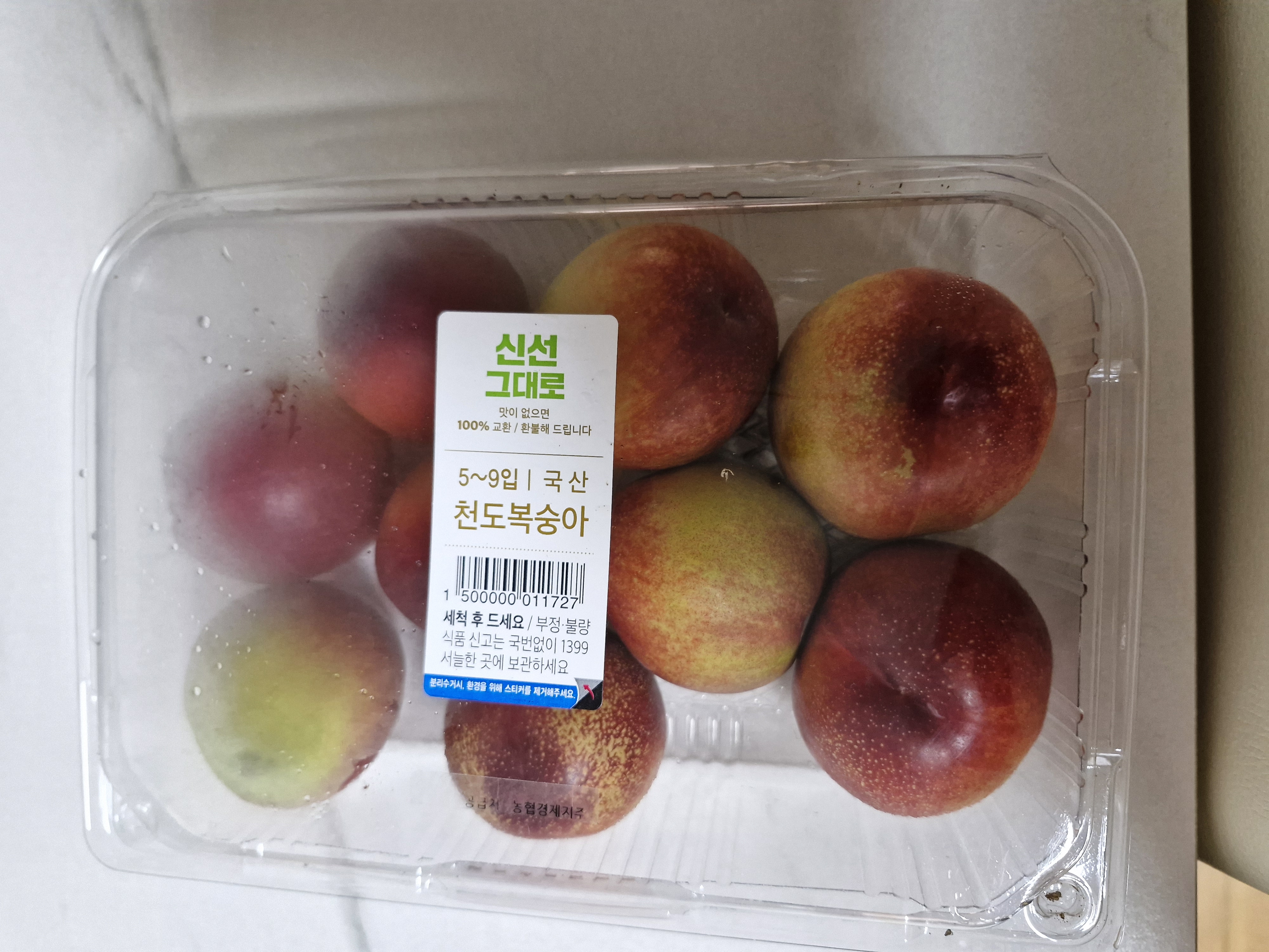 설명