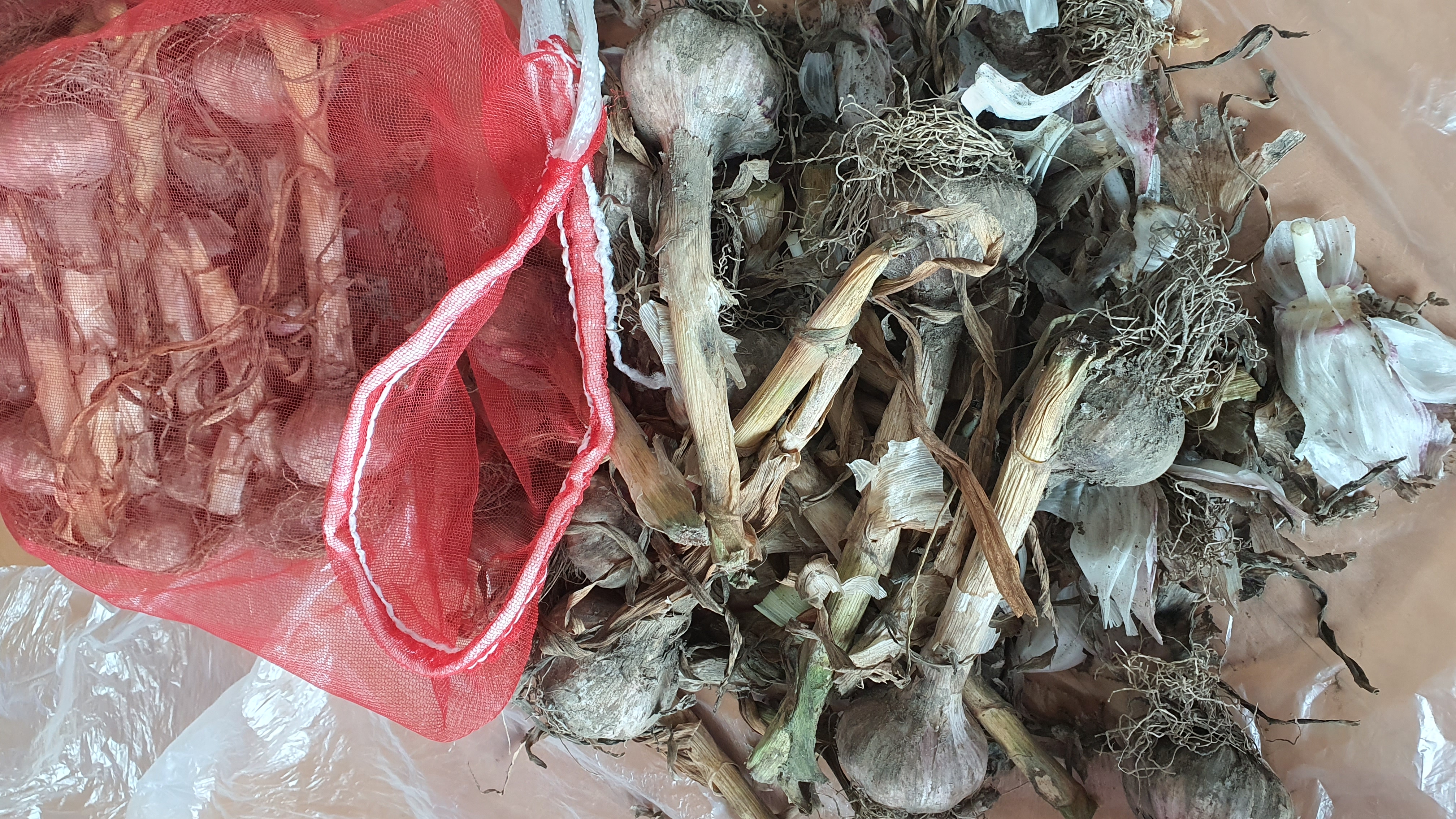 설명