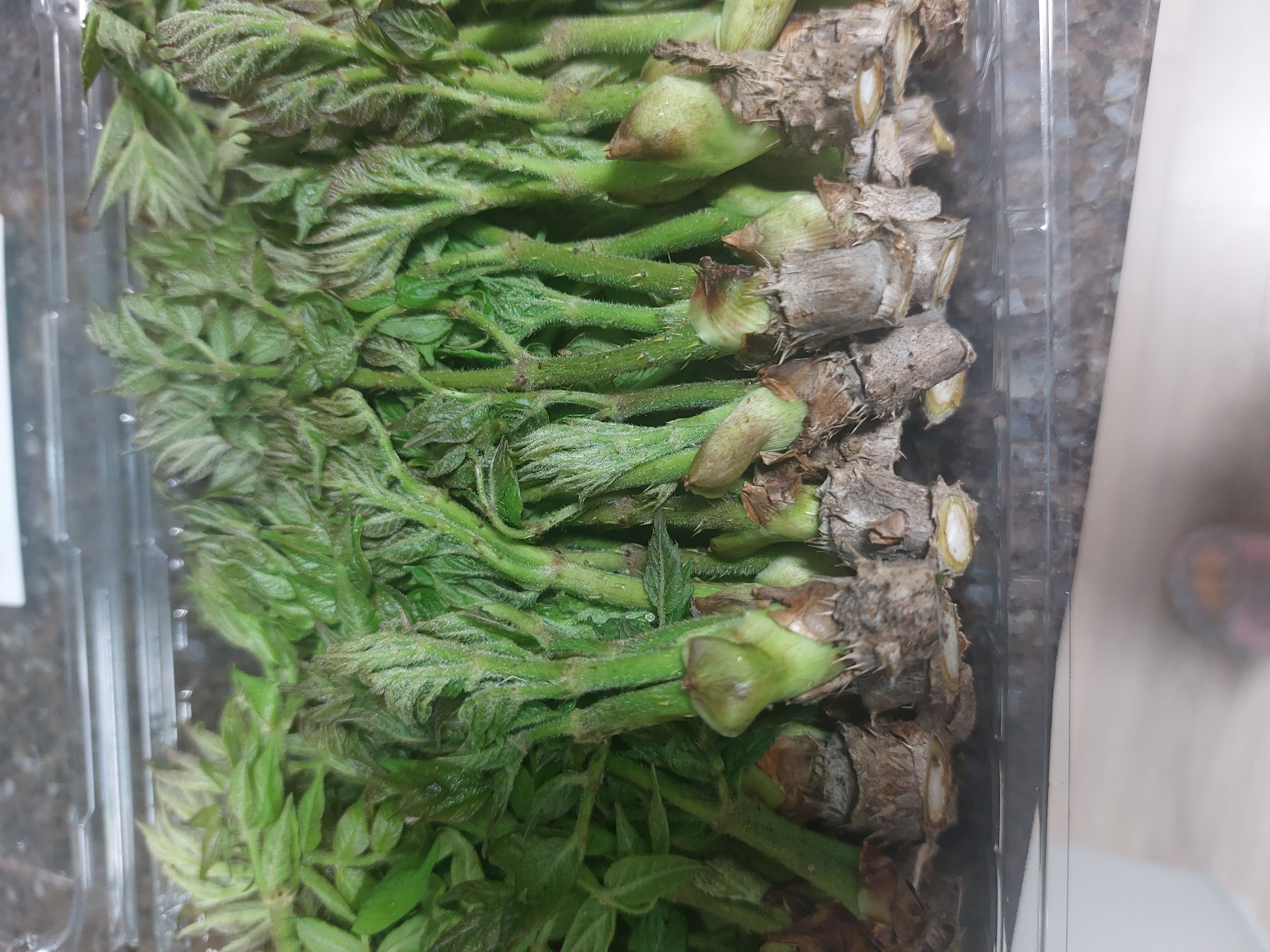 설명