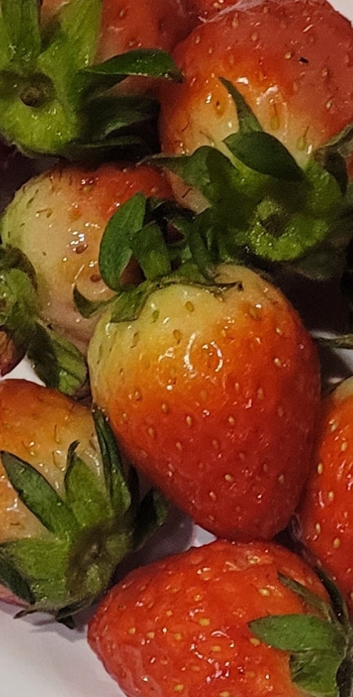설명