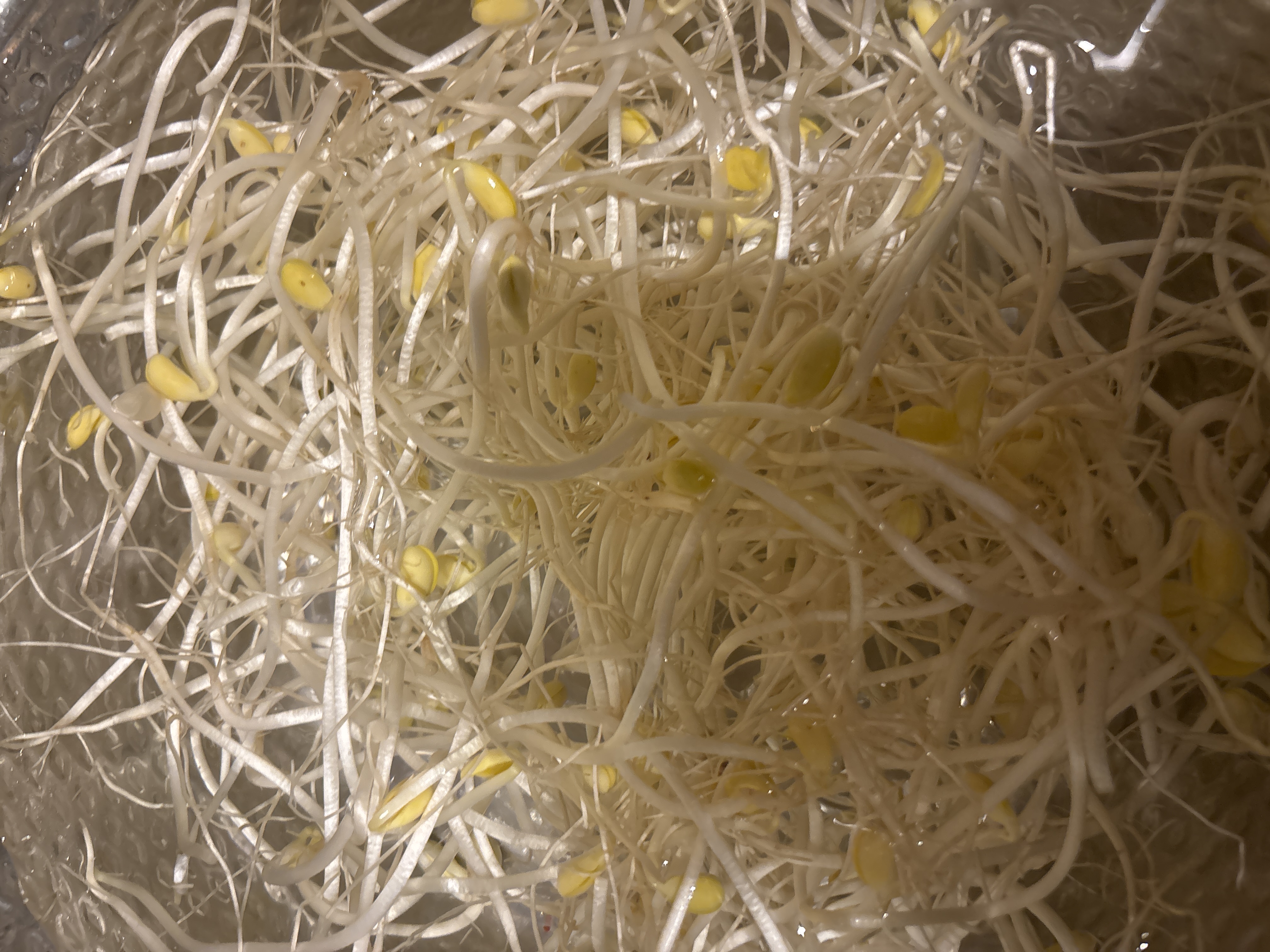 설명