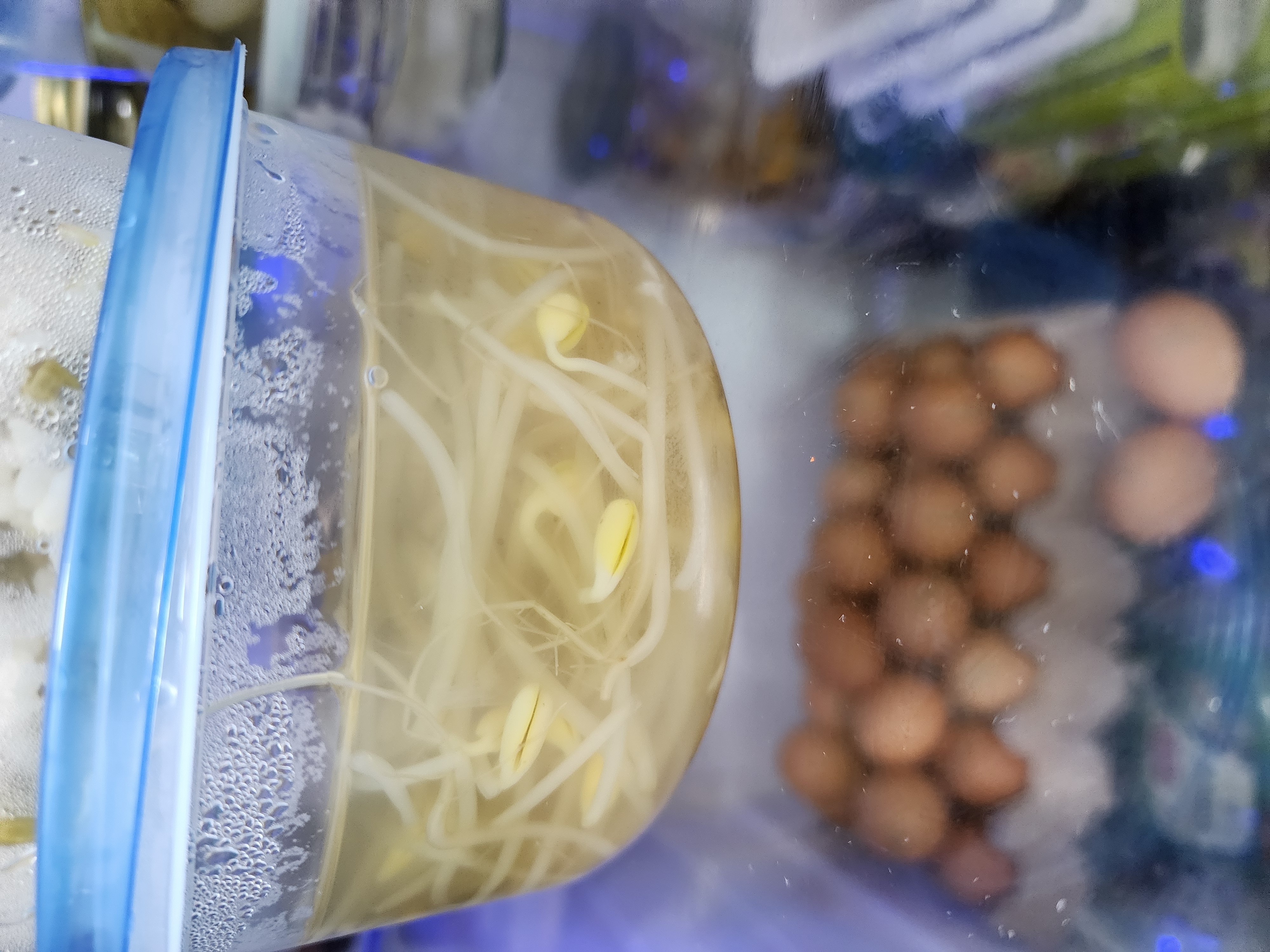 설명