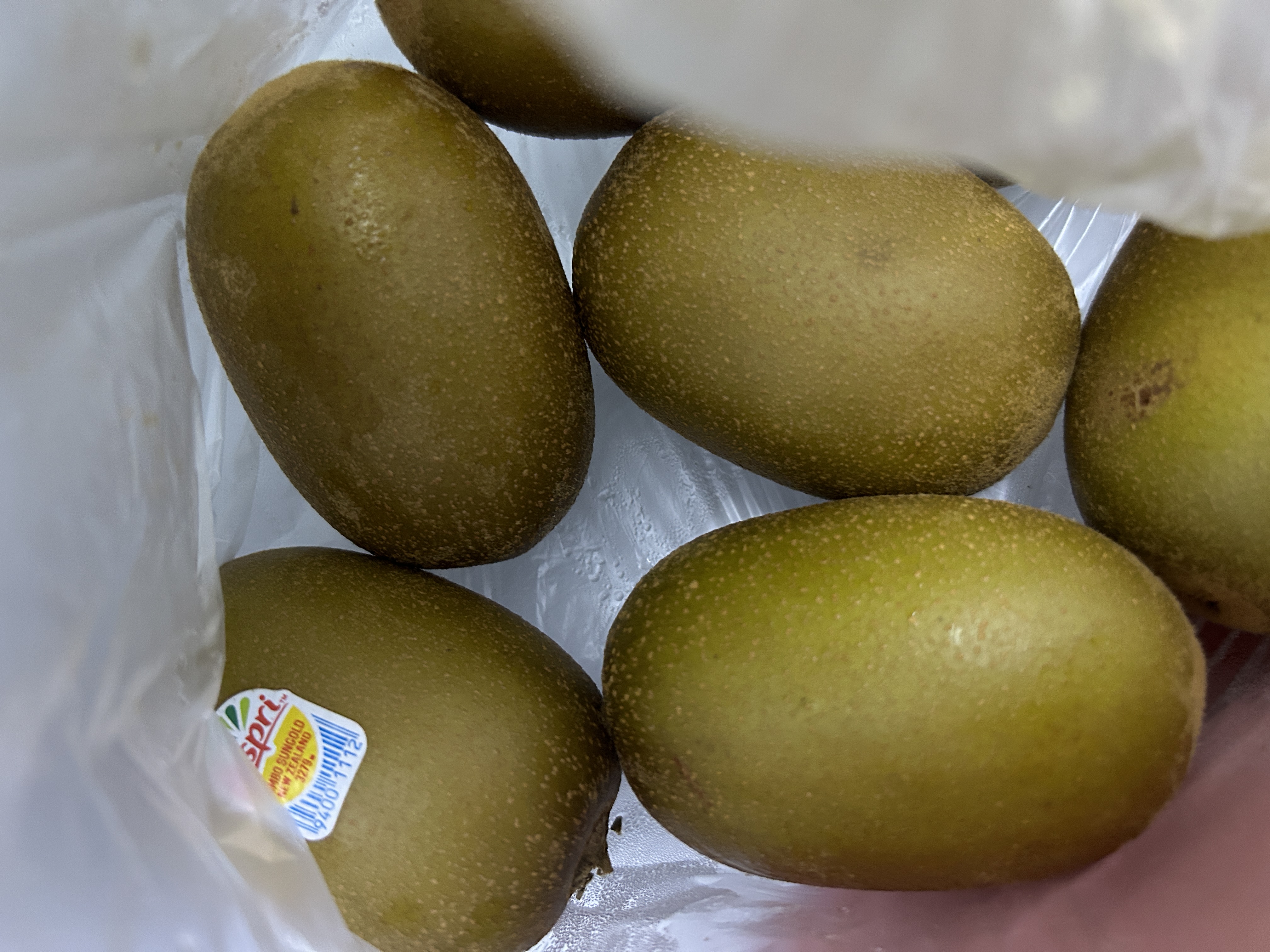 설명