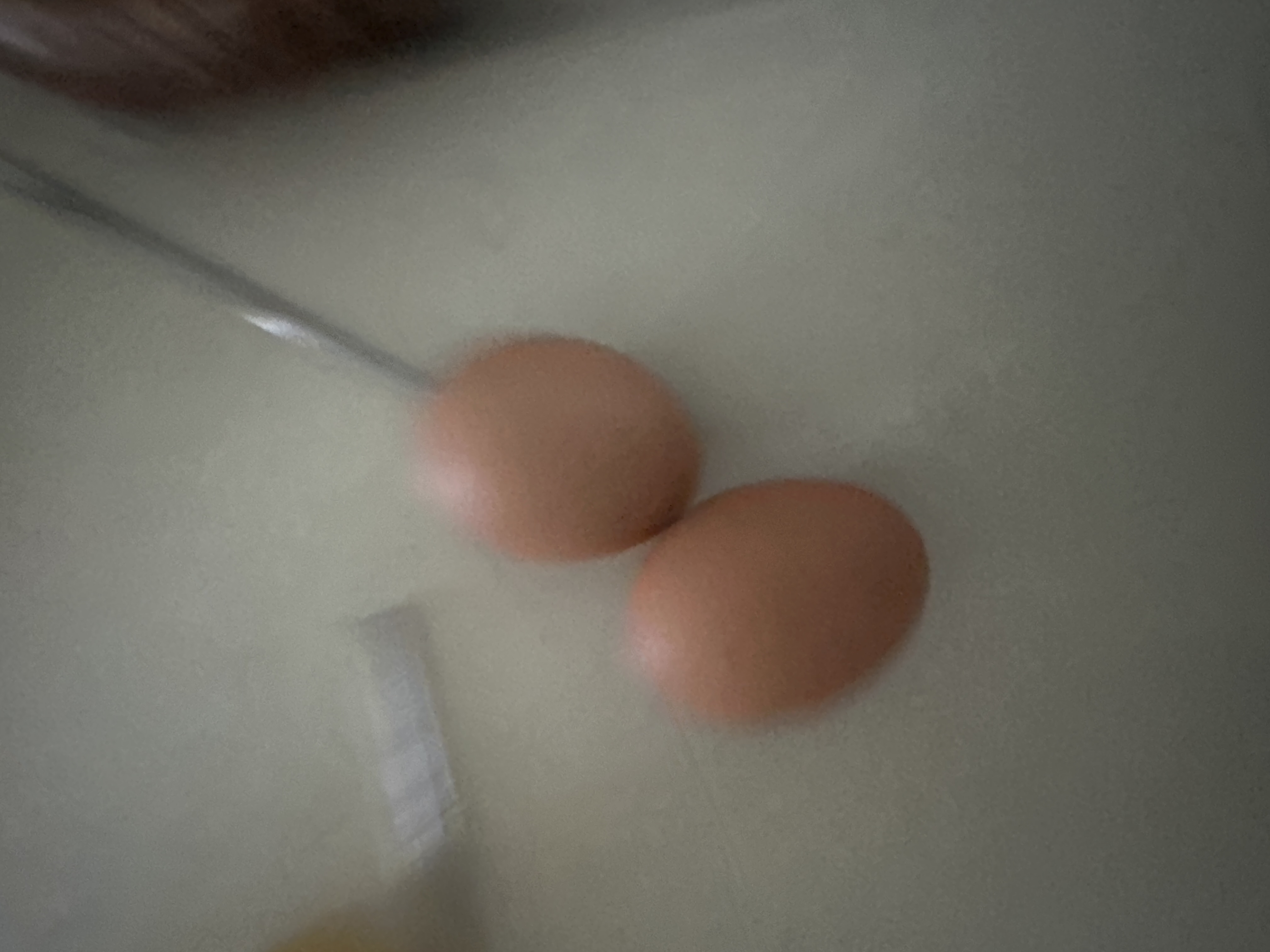 설명