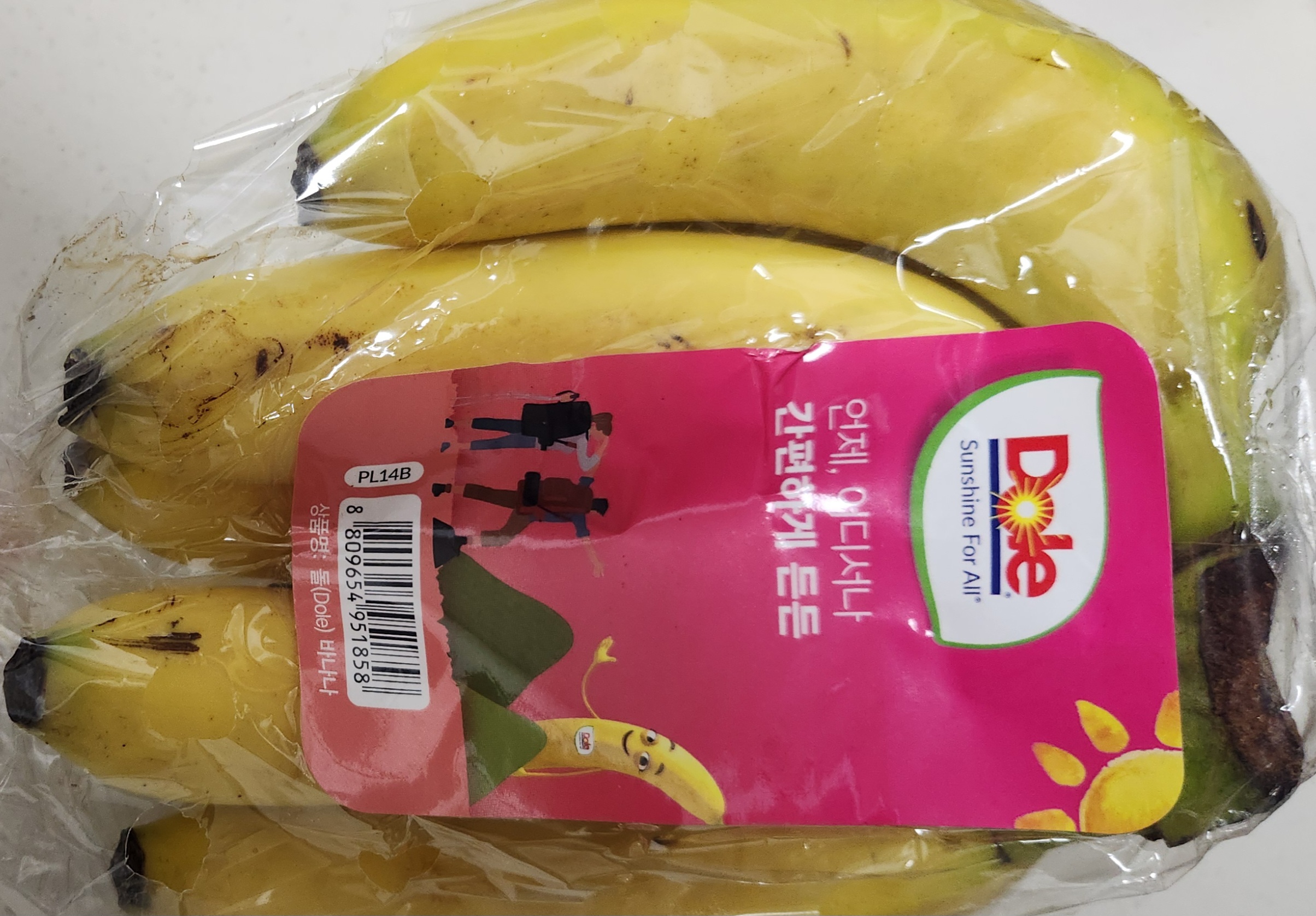 설명