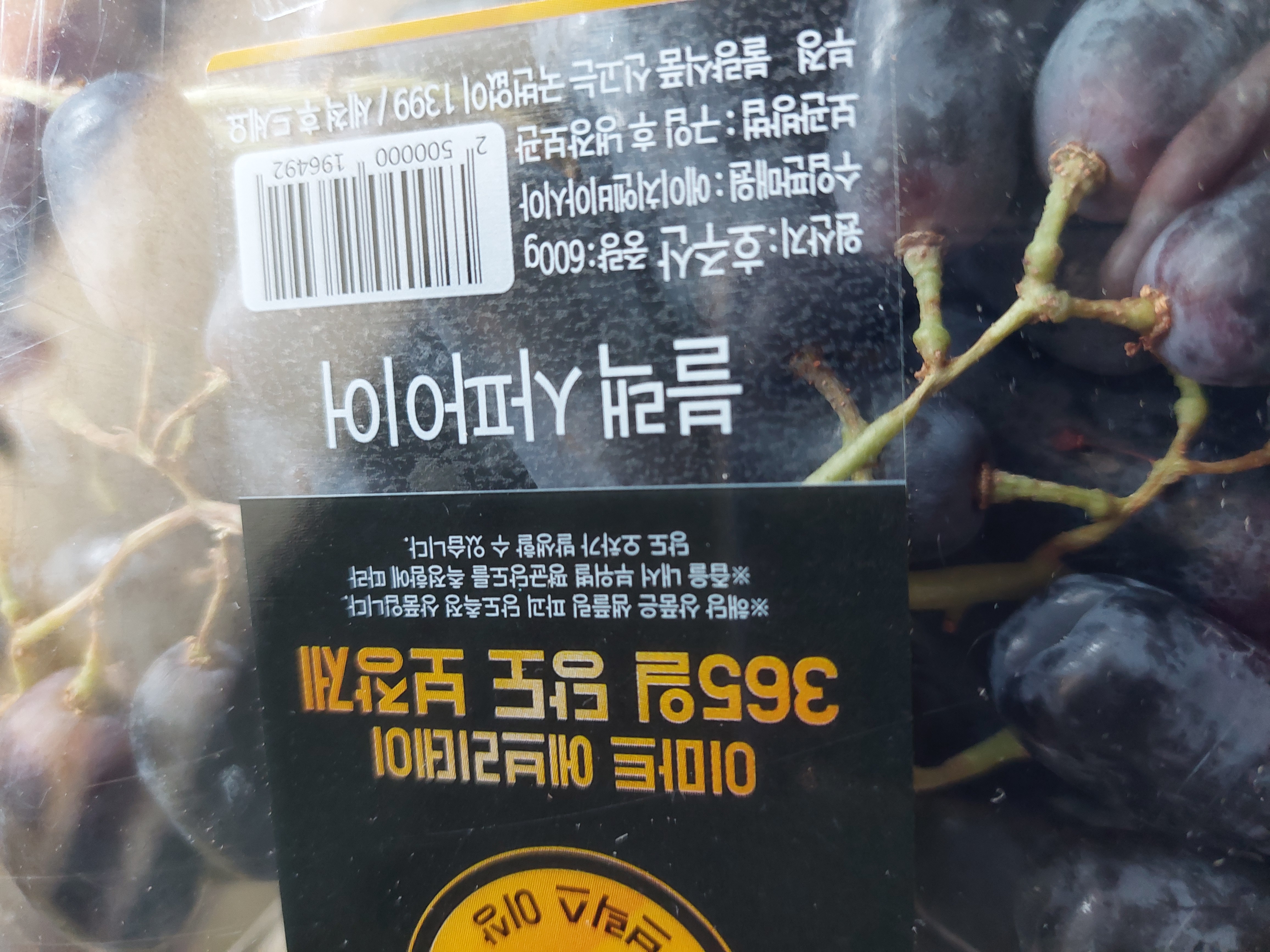 설명