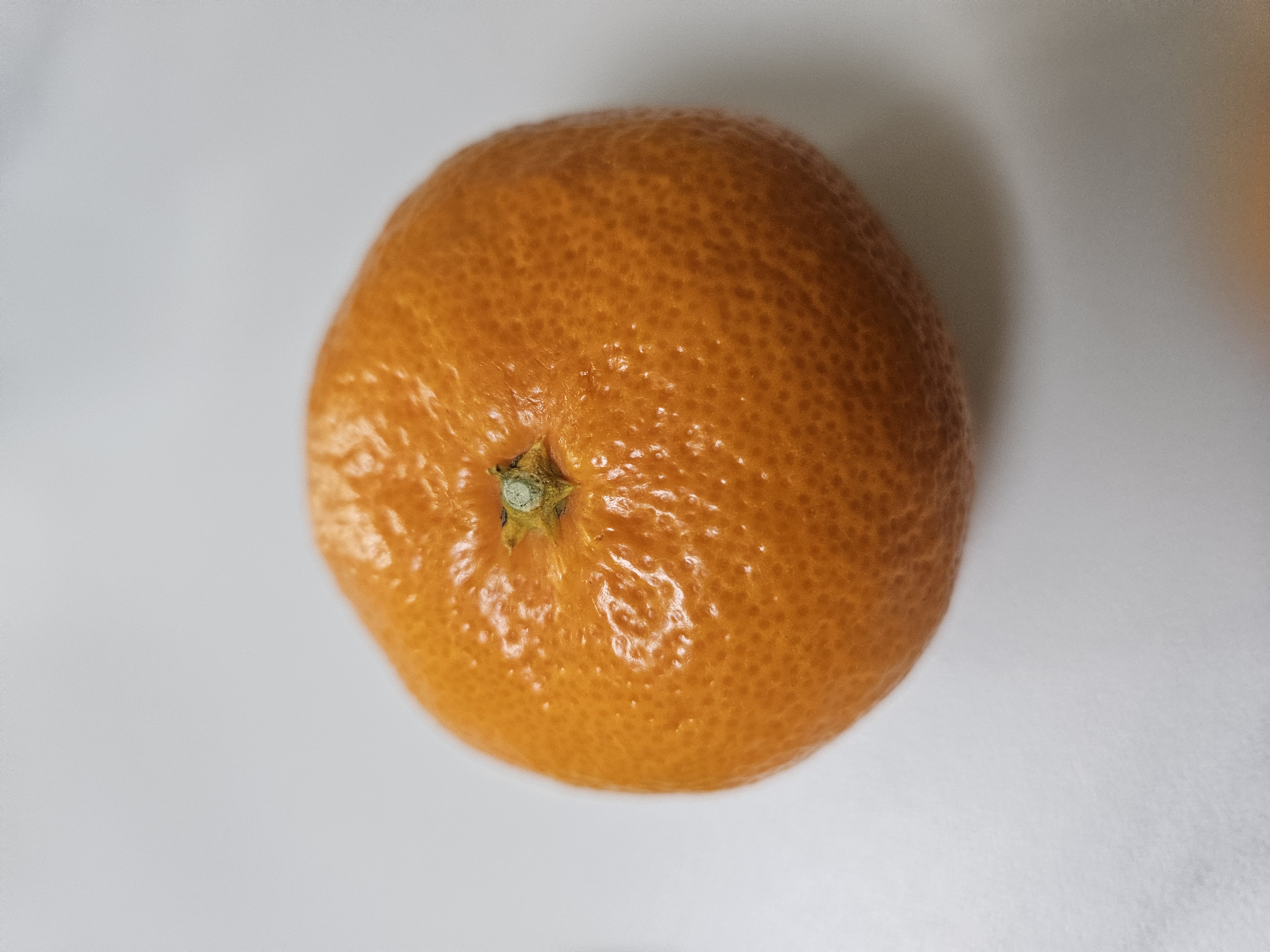 설명