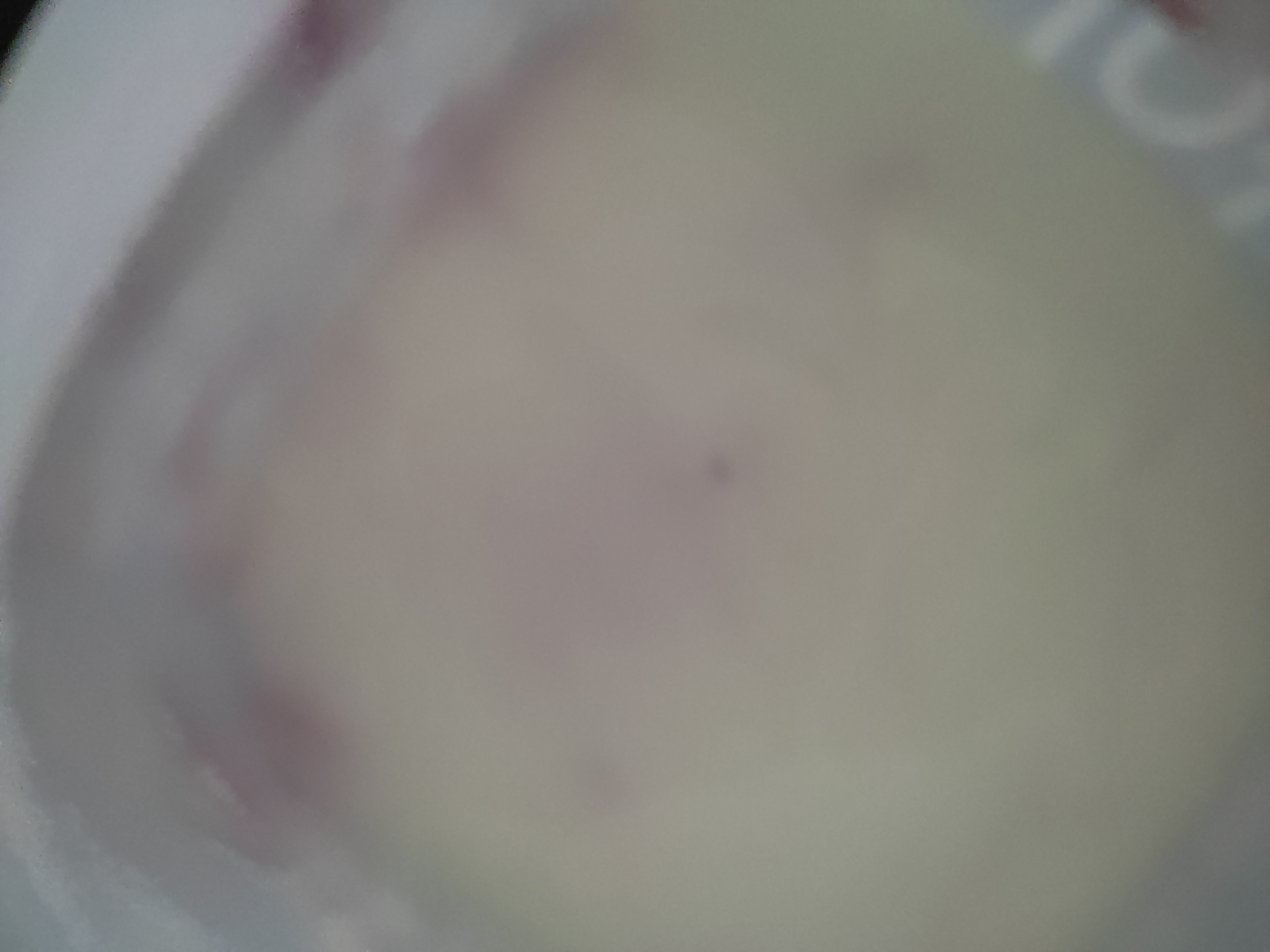 설명