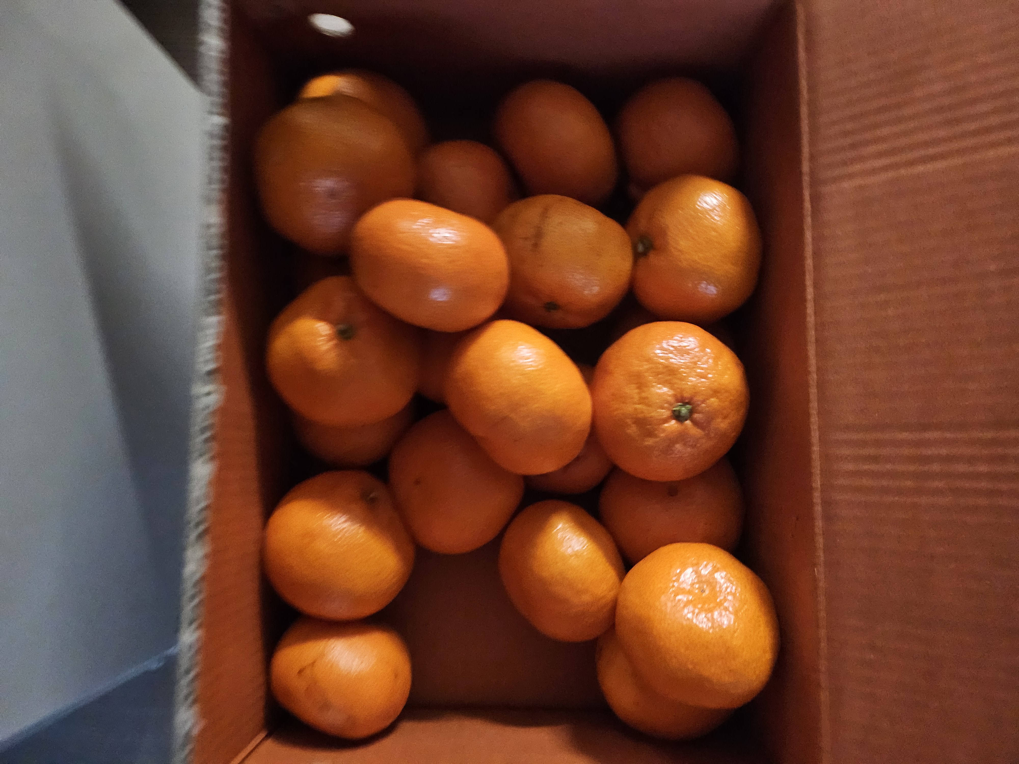 설명