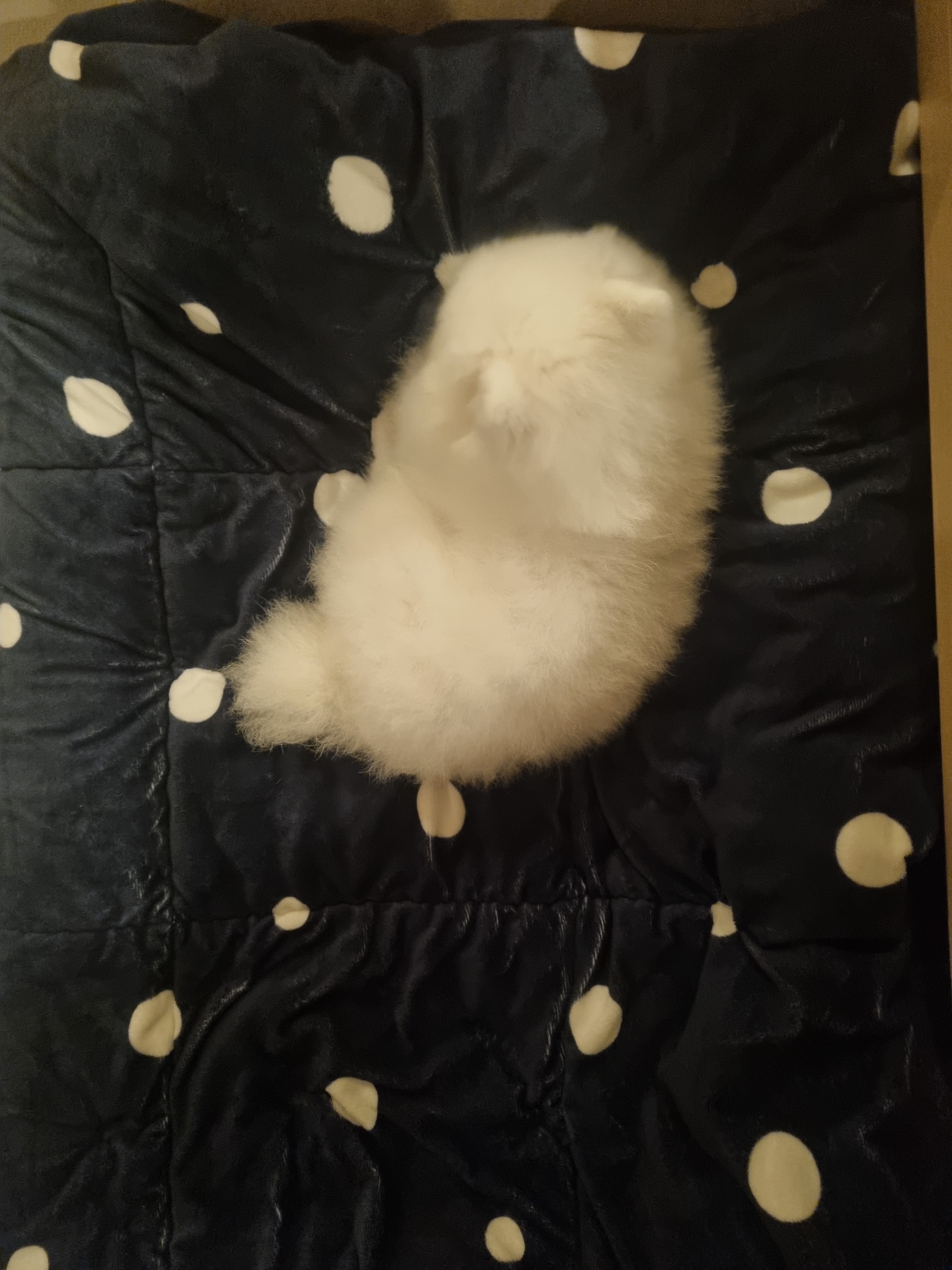 설명